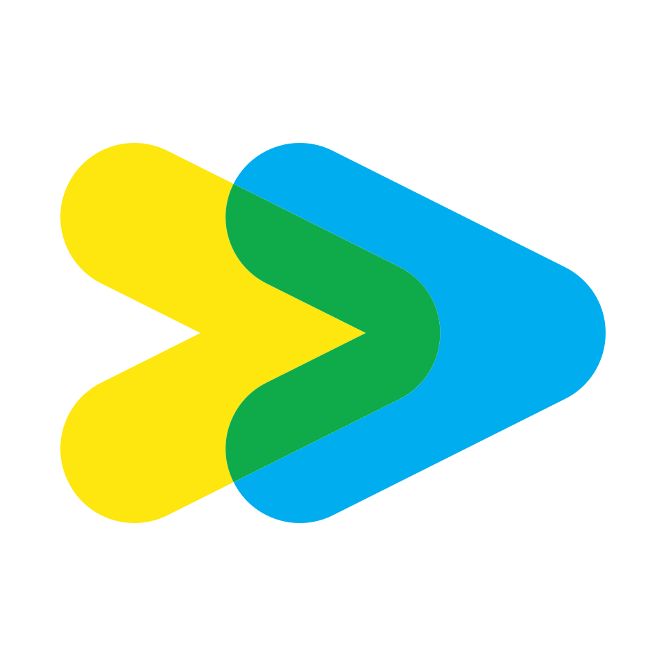 STM logo